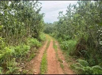 Land Sale at Veyangoda Town