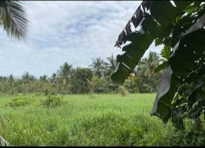 Land Sale at Veyangoda Town
