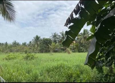 Land Sale at Veyangoda Town