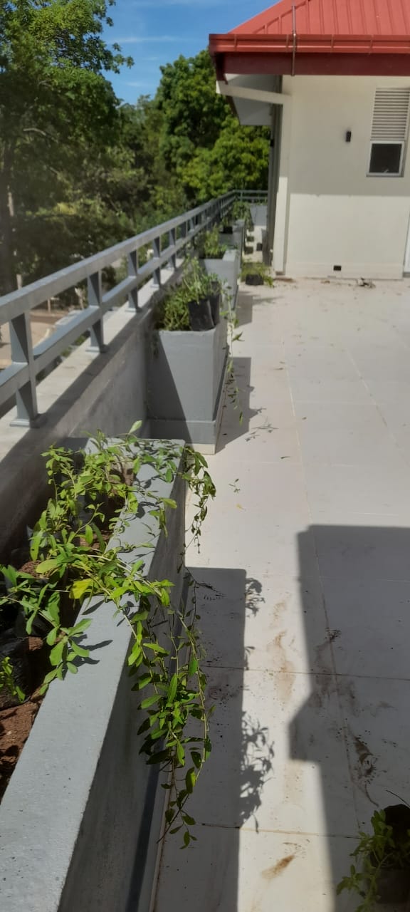 Soft Landscaping Work at New Elders' Home Building Complex at Katharagama