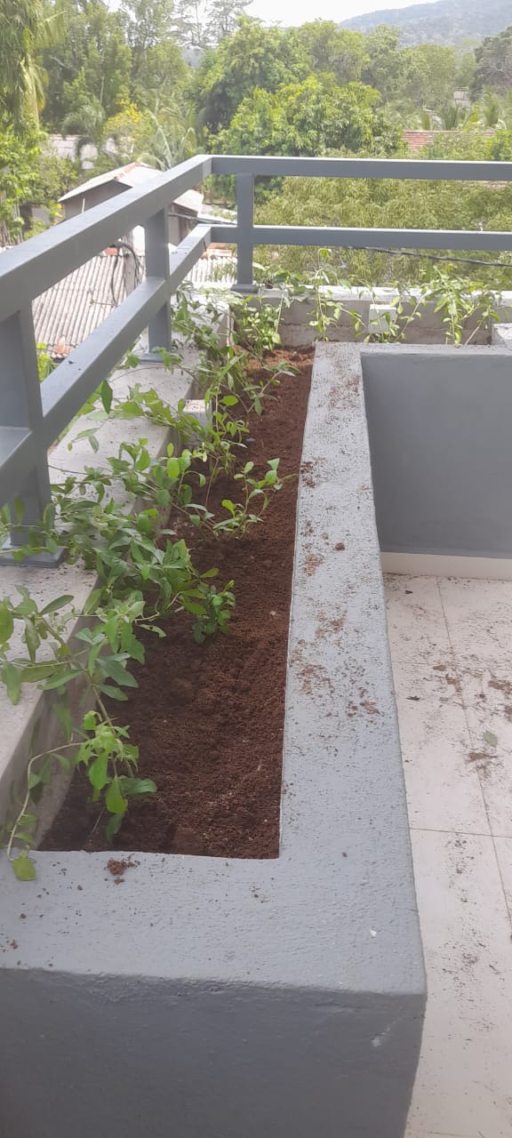 Soft Landscaping Work at New Elders' Home Building Complex at Katharagama