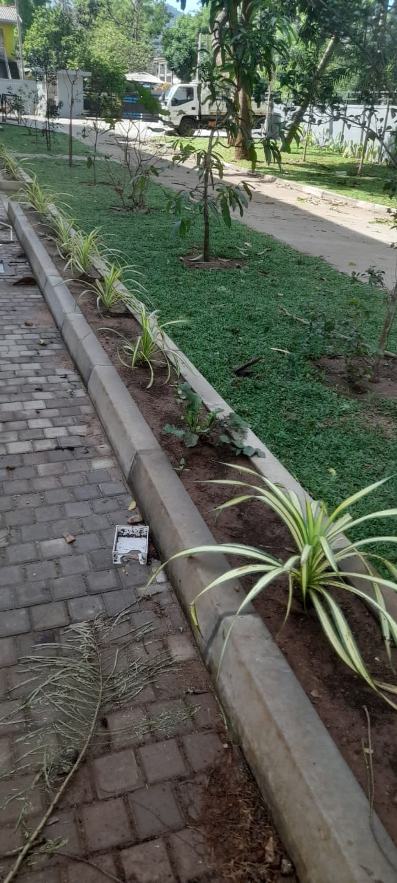 Soft Landscaping Work at New Elders' Home Building Complex at Katharagama
