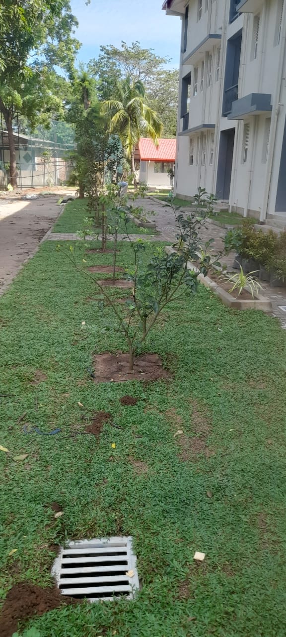 Soft Landscaping Work at New Elders' Home Building Complex at Katharagama