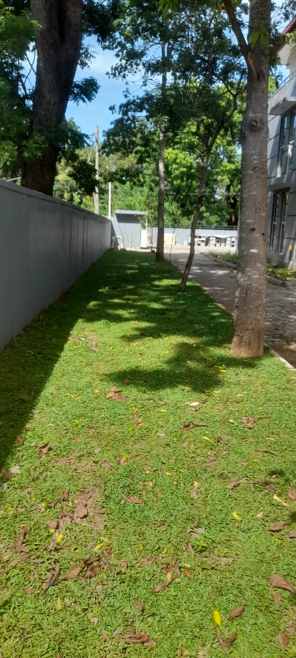 Soft Landscaping Work at New Elders' Home Building Complex at Katharagama