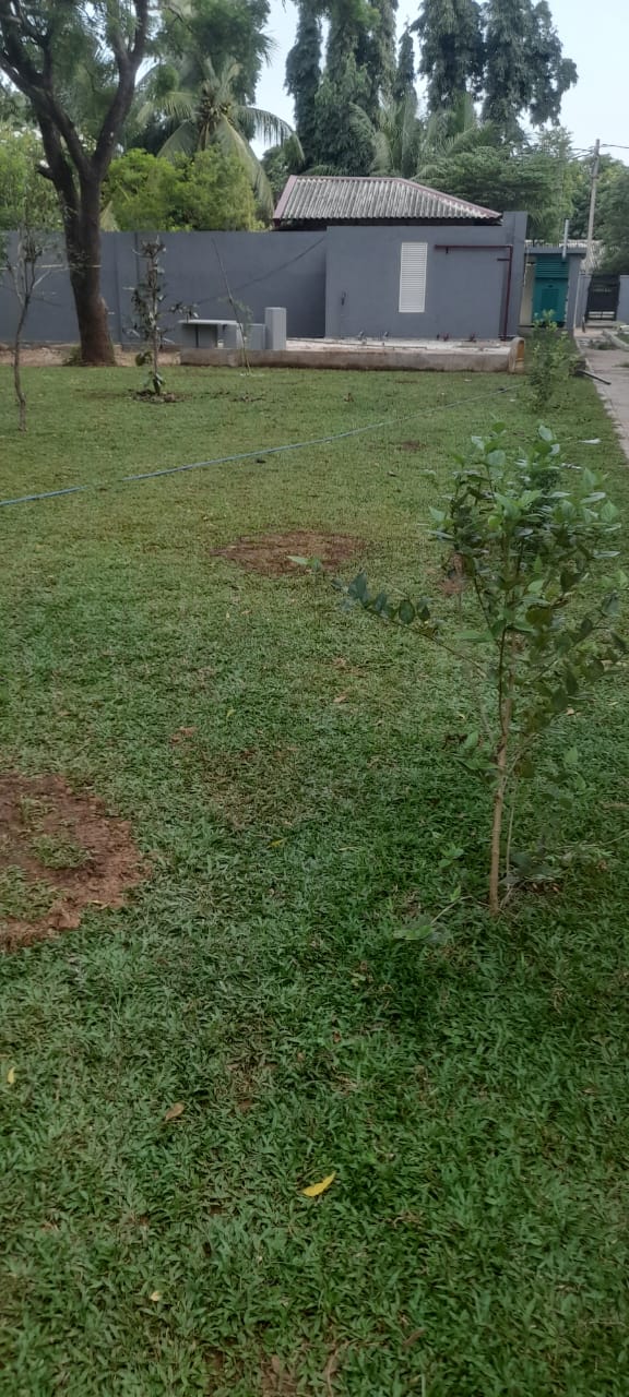 Soft Landscaping Work at New Elders' Home Building Complex at Katharagama